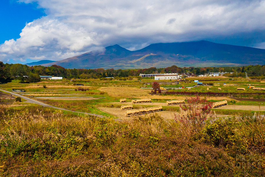 ROKUMON 列車之旅
